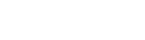 网信大数据报告查询